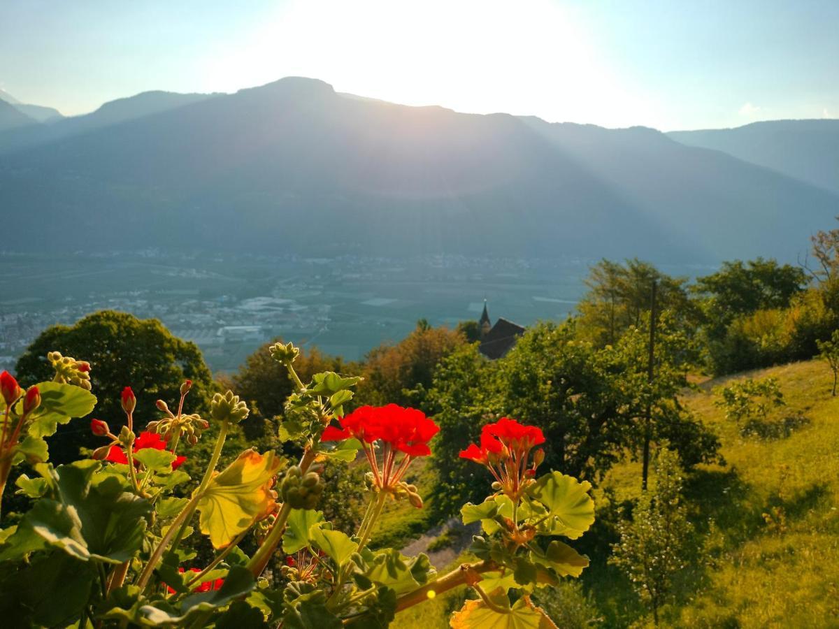 Georgenhoehe لانا المظهر الخارجي الصورة